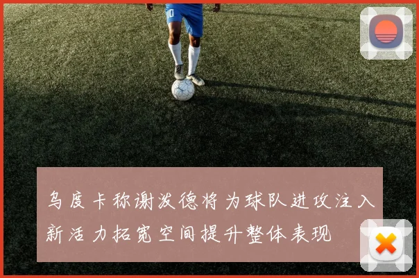 乌度卡称谢泼德将为球队进攻注入新活力拓宽空间提升整体表现