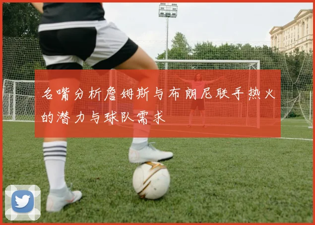 名嘴分析詹姆斯与布朗尼联手热火的潜力与球队需求